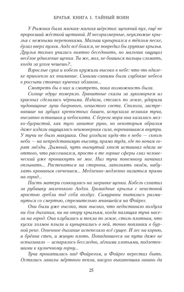 Братья. Книга 1. Тайный воин